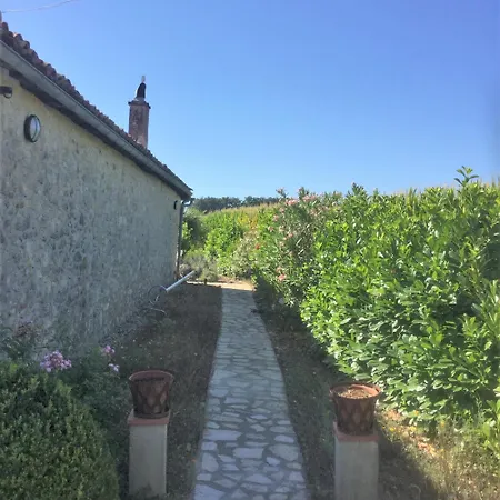 Tatil Evi Rozies 9 P